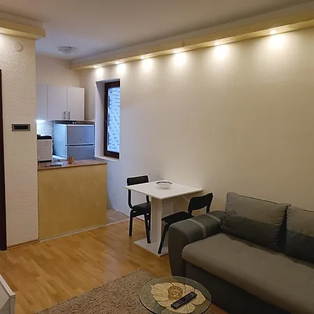 Apartament V&v *